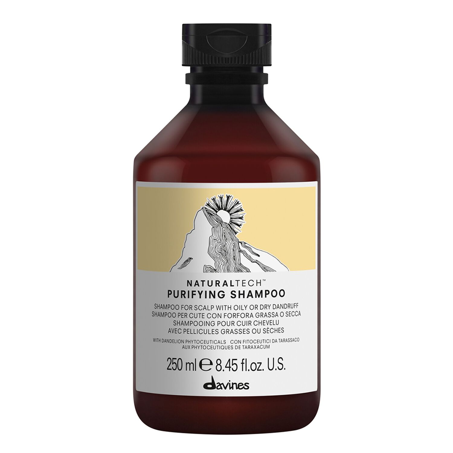 Davines Purifying Shampoo Shampooing Anti-Pelliculaire 250 ml