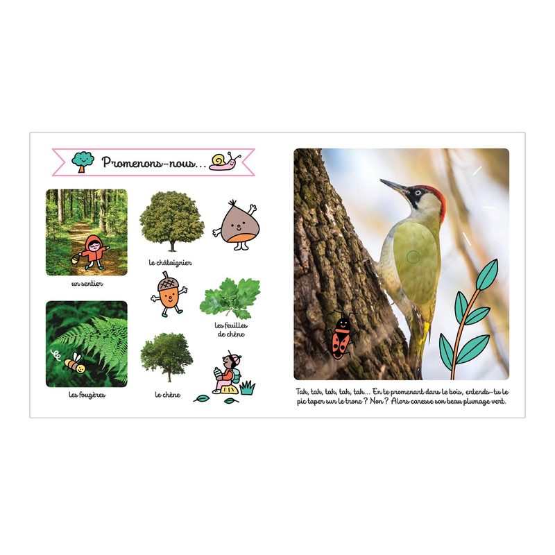 Livre La forêt, regarde, touche et écoute - Larousse Jeunesse
