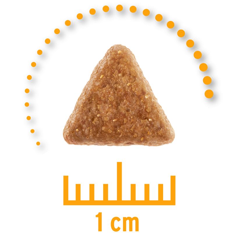 Concept for Life Veterinary Diet Urinary zu TOP-Preisen | bitiba