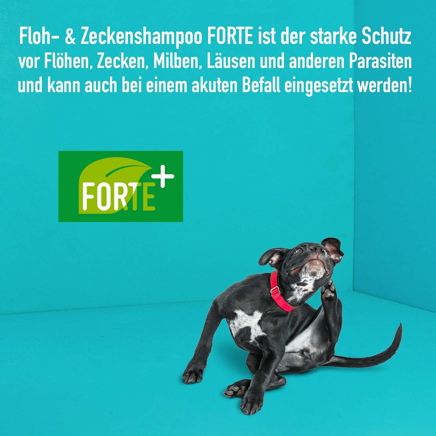 Greenhero Fellpflege Greenhero Floh- und Zeckenshampoo FORTE