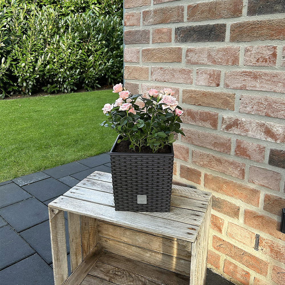 Protanic Powertec Garden Blumentopf 