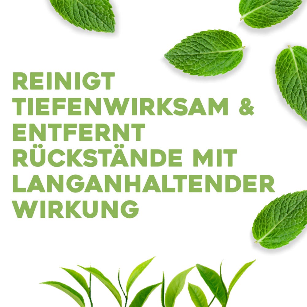 OGX Tea Tree Mint Extra Strength Shampoo 385 ml