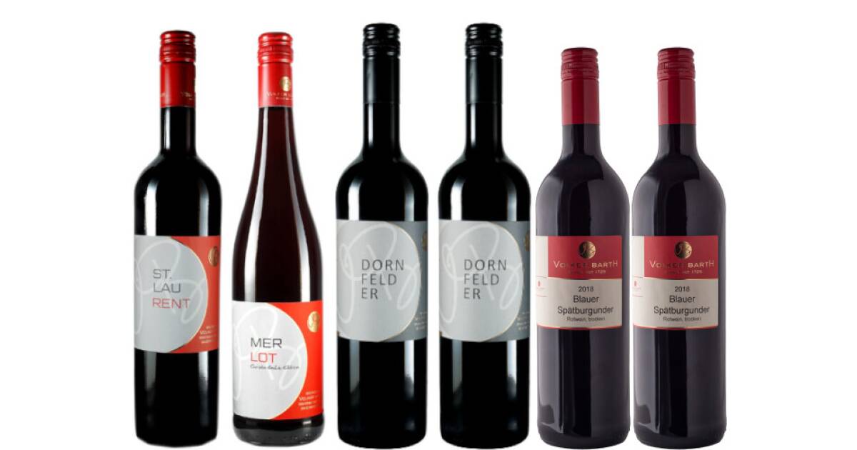 6er Probierpaket trockener Rotwein  von Weingut Volker Barth günstig bei wein.de kaufen