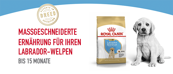 ROYAL CANIN Hundetrockenfutter ROYAL CANIN Labrador Retriever Puppy 3 kg