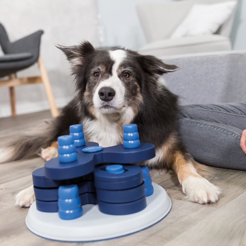 Trixie Dog Activity Flower Tower zu TOP-Preisen