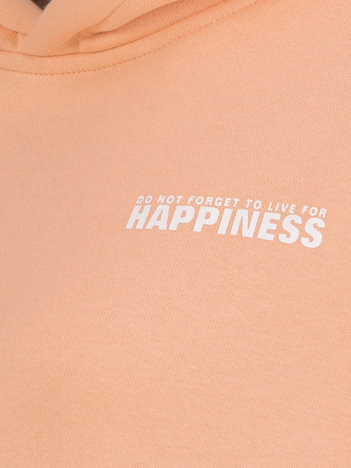 Sublevel Hoodie in Apricot günstig kaufen