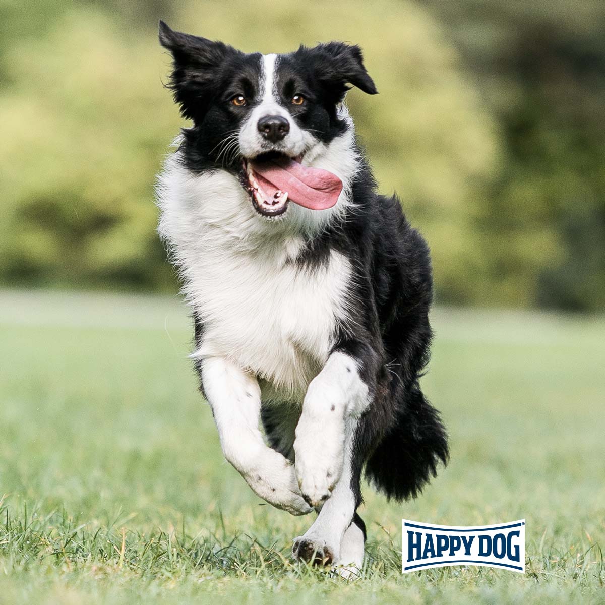 Happy Dog Supreme fit & vital Medium Adult kaufen bei ZooRoyal