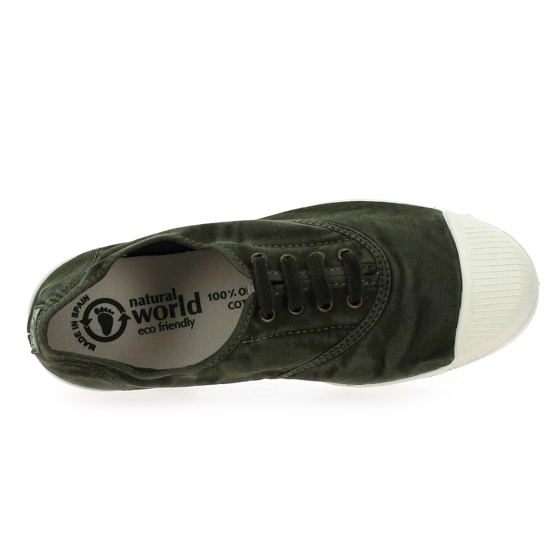 Natural world  102 E - Kaki
