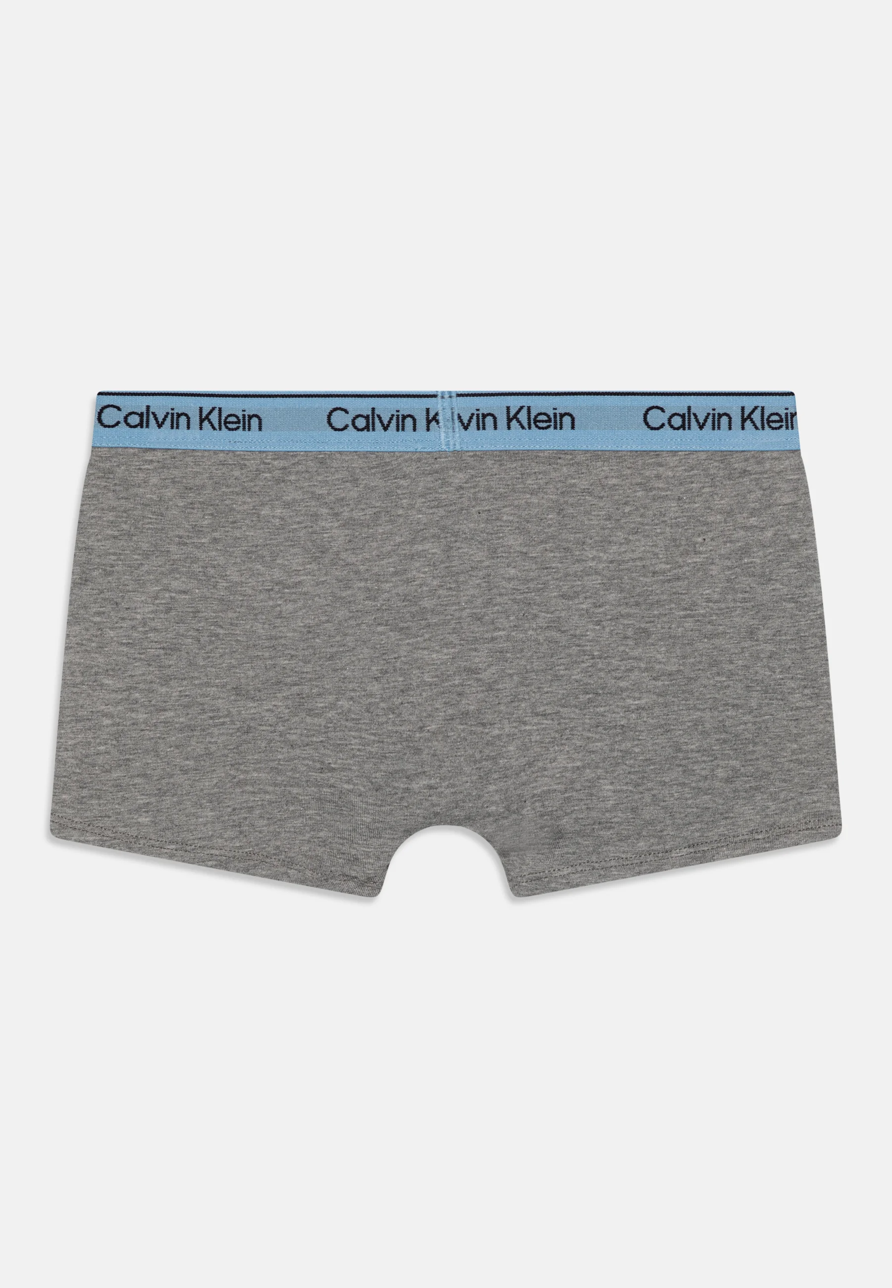 Calvin Klein Underwear TRUNK PACK DE 2 - Culotte