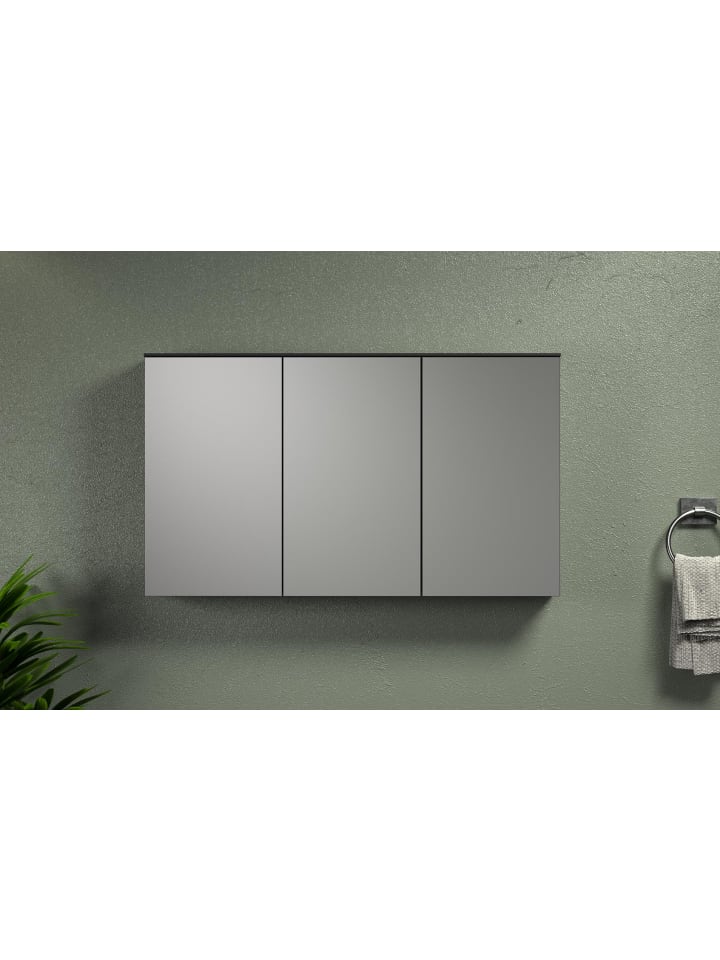ebuy24 Spiegelschrank Synnax Grau 120 x 17 cm günstig kaufen onesize