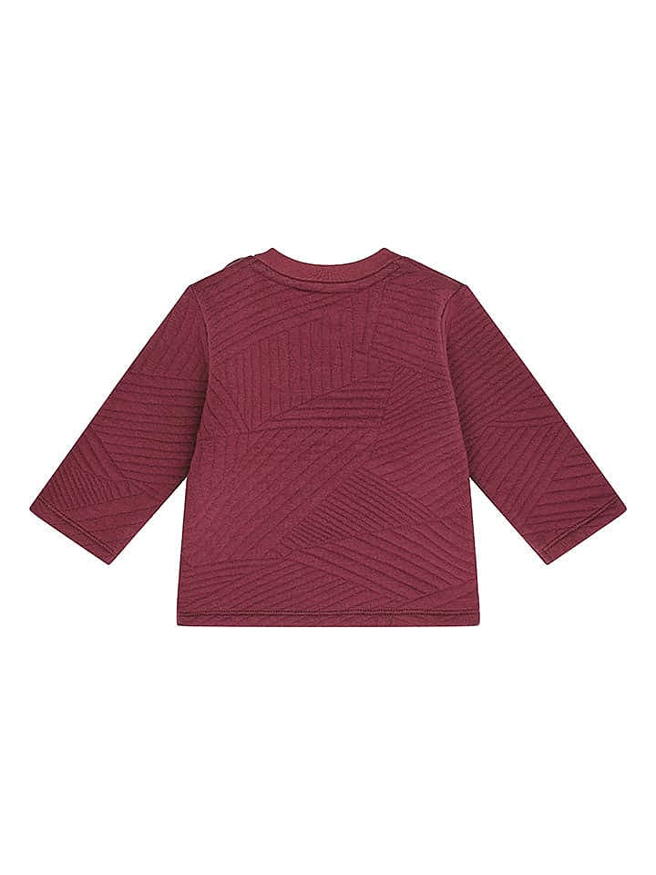 Steiff Sweatshirt in Bordeaux günstig kaufen 68
