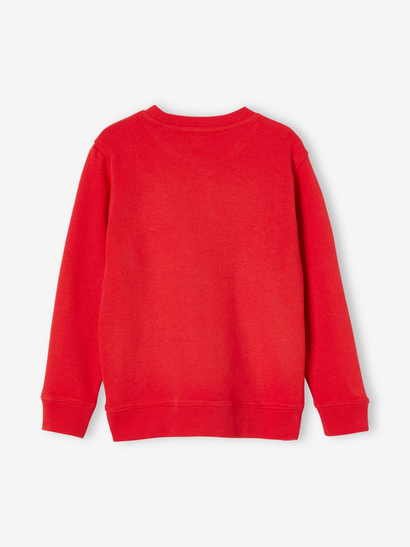 Sweat col rond imprimé garçon BASICS bleu