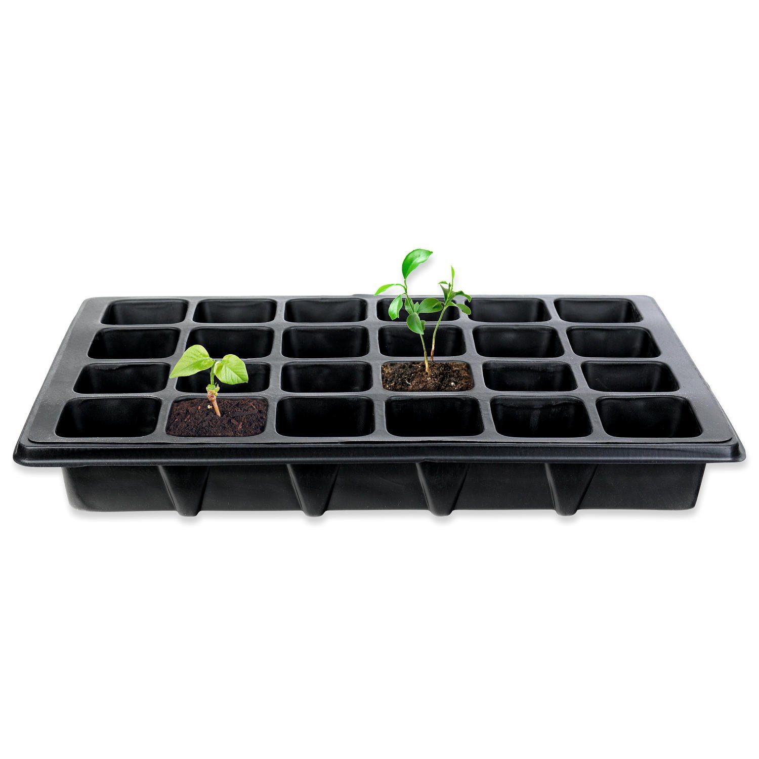 Schramm Frühbeet Schramm® 2 Stück Anzucht Set Gewächshaus Anzucht Schale Töpfe Zimmergewächshaus 38,5 x 24 x 7 cm für 48 Anzuchttöpfe Anzuchtset Mini-Gewächshaus schwarz