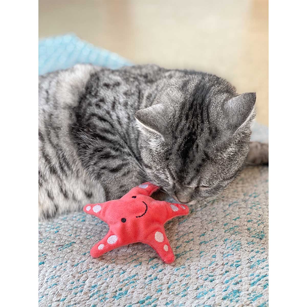 Aumüller Katzenspielkissen Seestern Stella kaufen