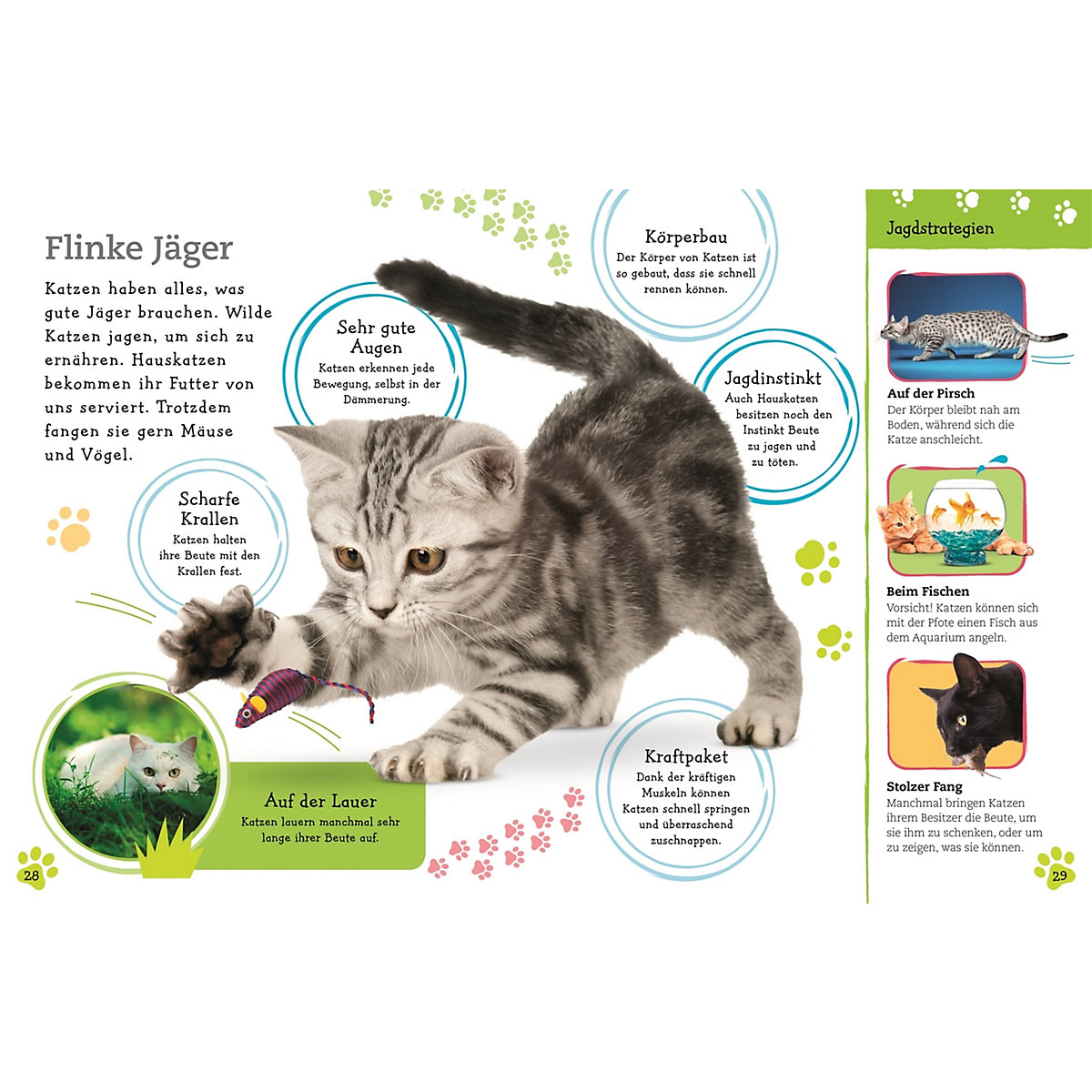 Alles über deine Katze