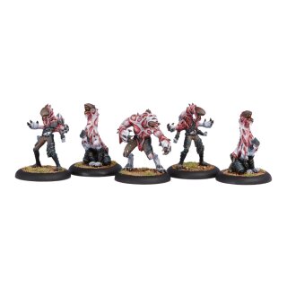 Legion of Everblight Incubi Box (5) PIP73031