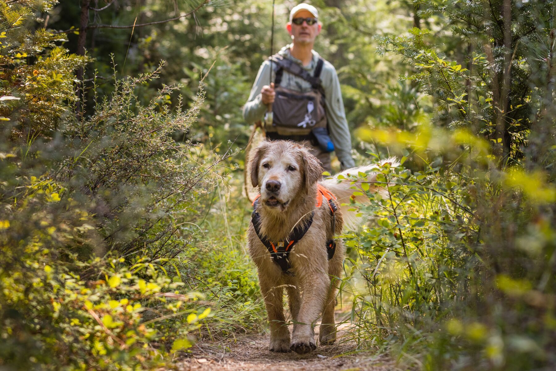 Ruffwear Hundegeschirre Ruffwear Brush Guard™ Geschirrzubehör S