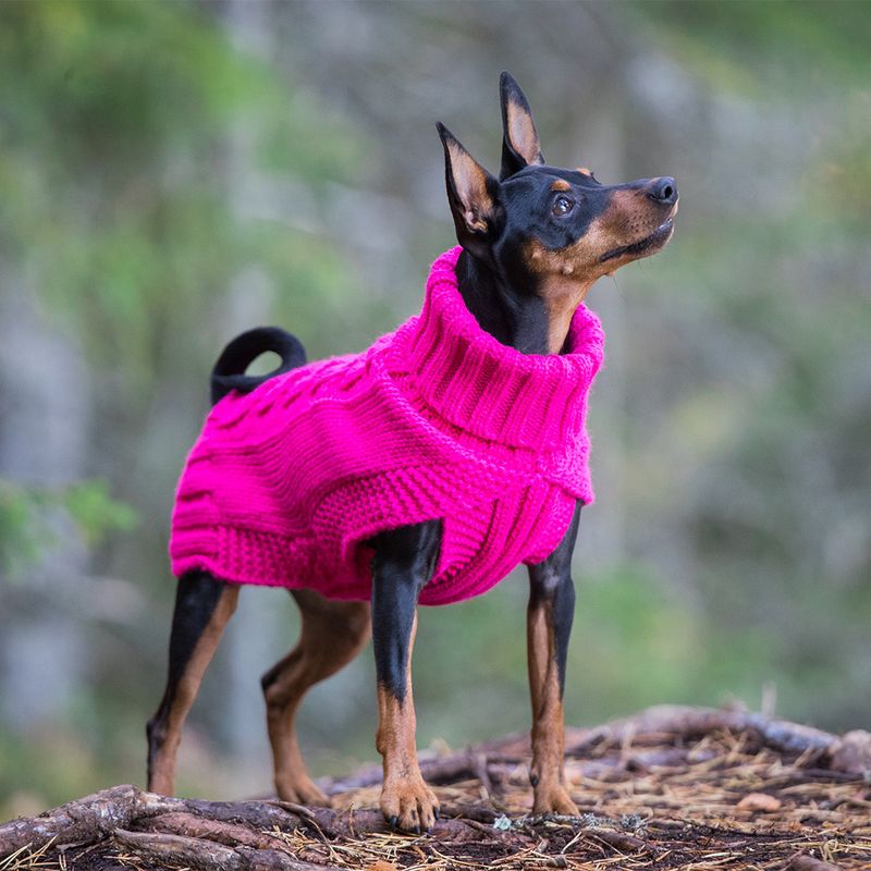 Rukka Hundepullover Wooly, himbeer zu TOP-Preisen