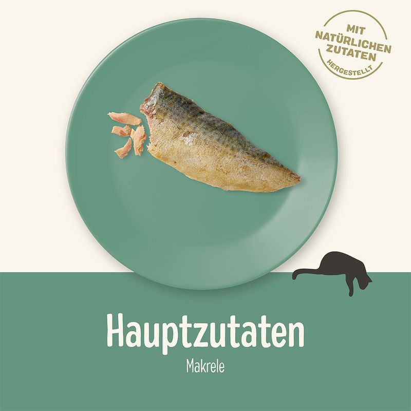 Applaws Cat Loin Makrele zu TOP-Preisen