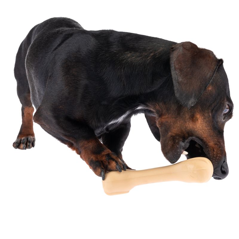 TIAKI Gummiknochen Hundespielzeug zu TOP-Preisen