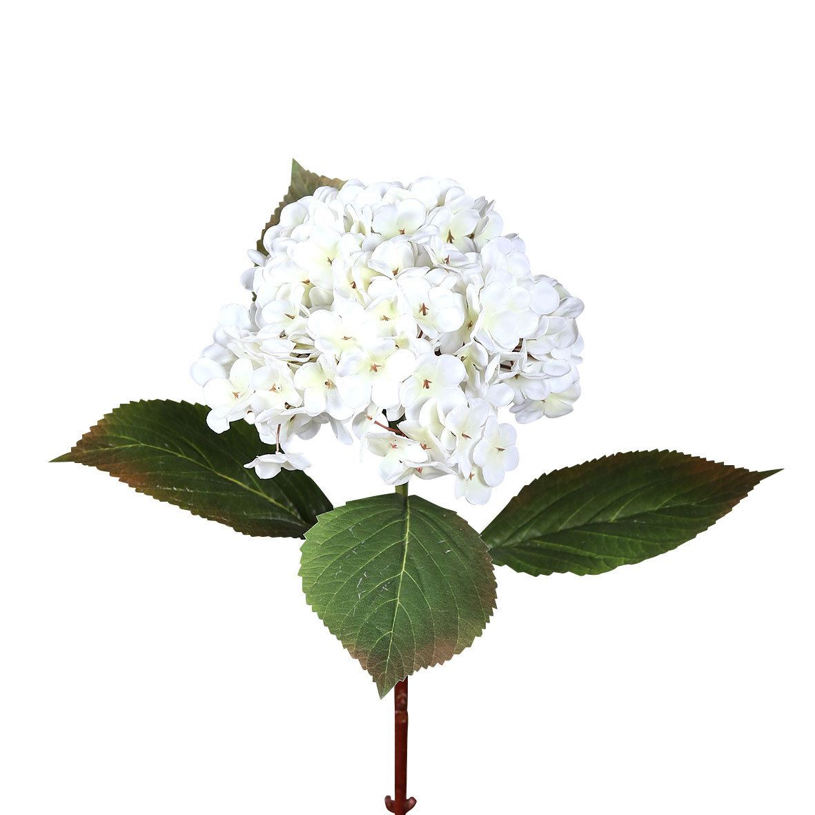 DPIHortensie 52cm