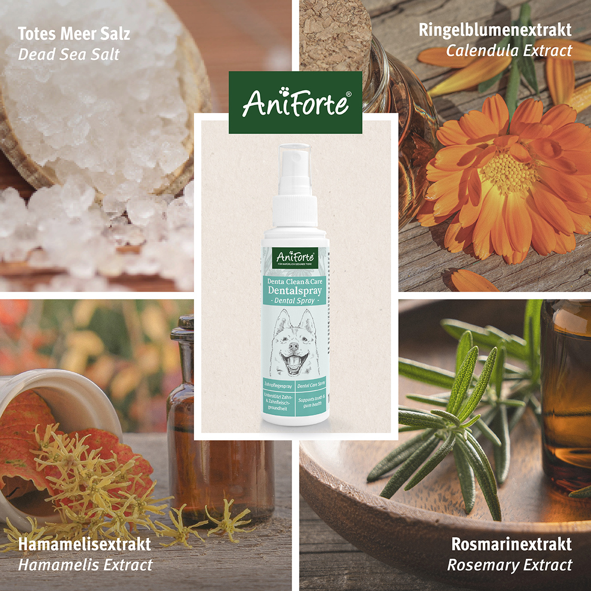 Aniforte Zahnpflege Aniforte Dentalspray Zahnpflege Spray 100ml