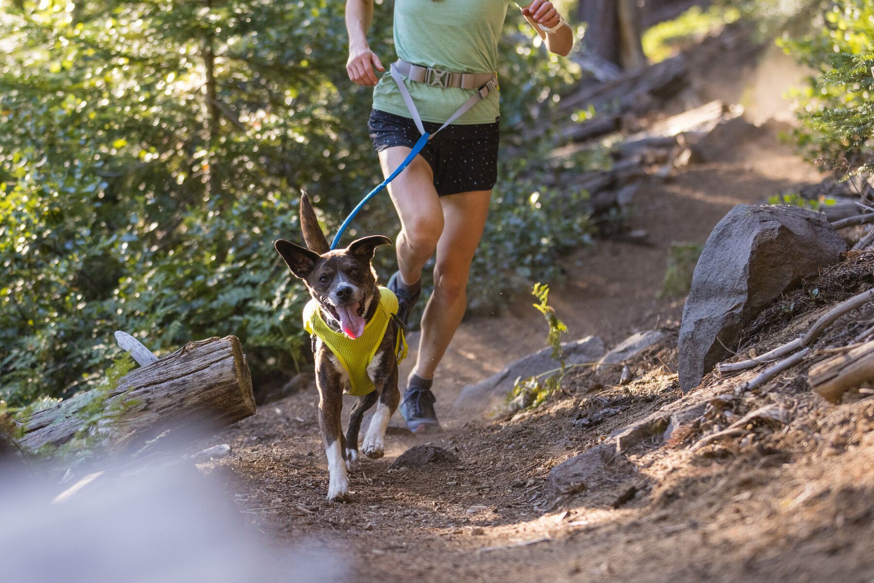 Ruffwear Hundeleinen Ruffwear Trail Runner™ Leine