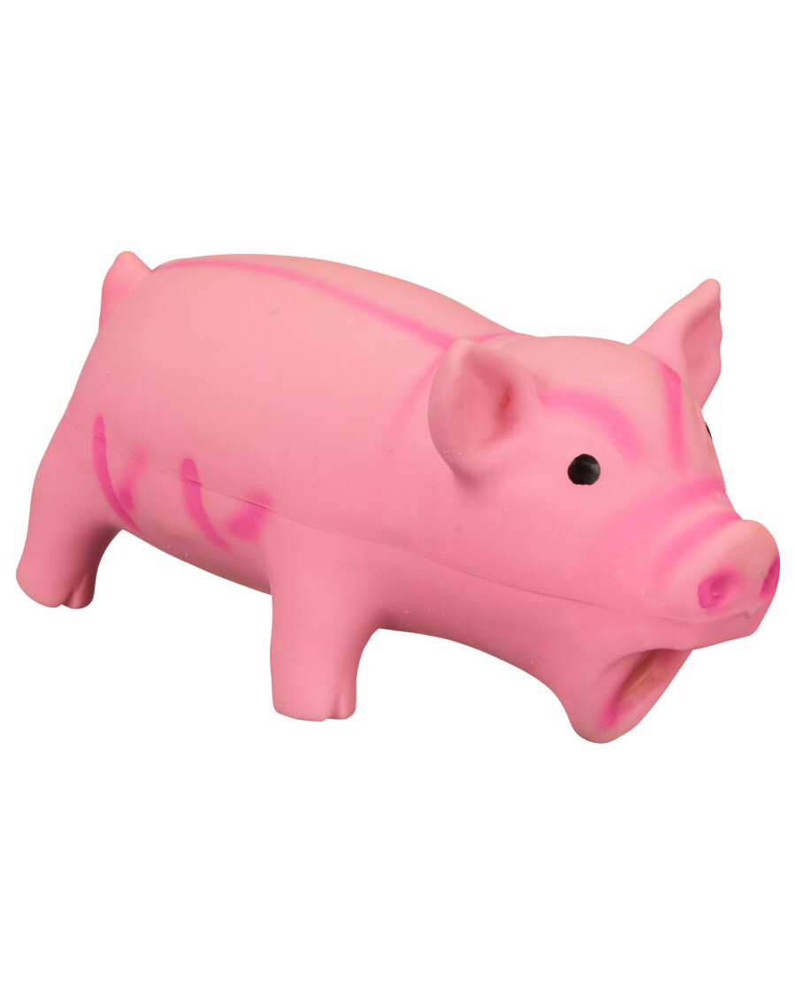 Hundespielzeug Schwein