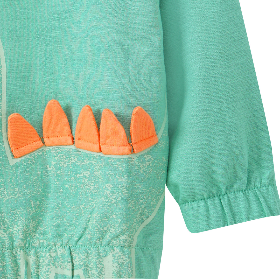 Baby Sweatshirt mit Dino-Applikation