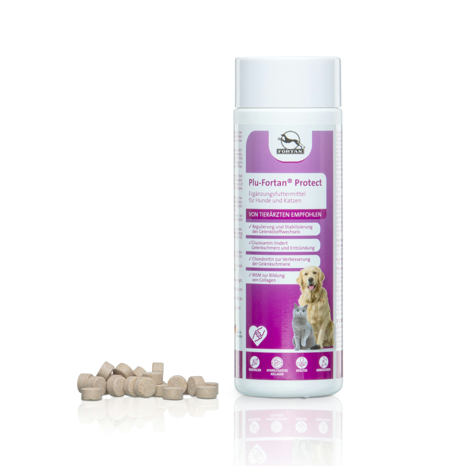 Fortan Ergänzungsfutter & Aufzucht Fortan Plu-Fortan Protect Tabletten mit MSM 350 g
