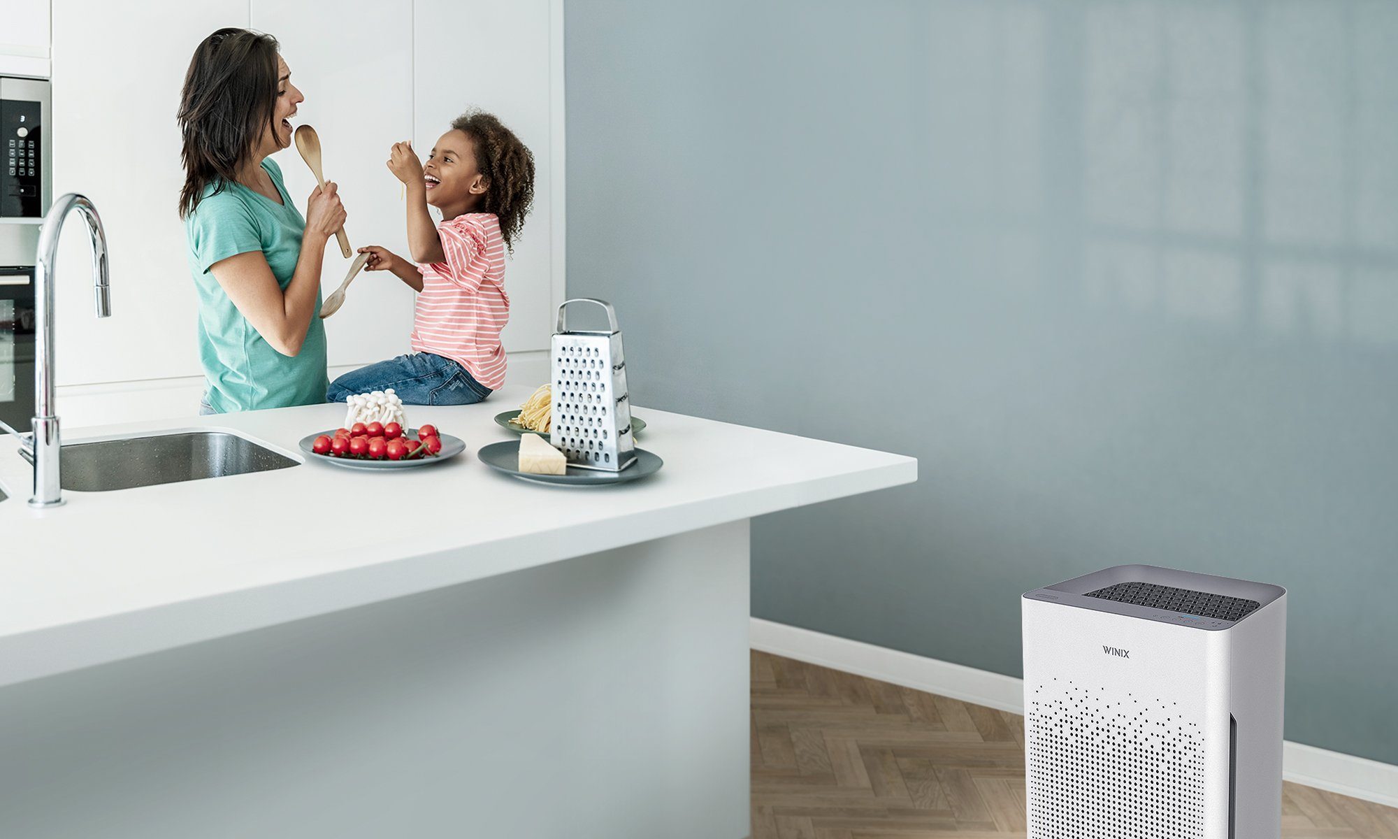 WINIX Luftreiniger ZERO-S, für 100 m² Räume, - Für Allergiker und CADR 410 m3/h