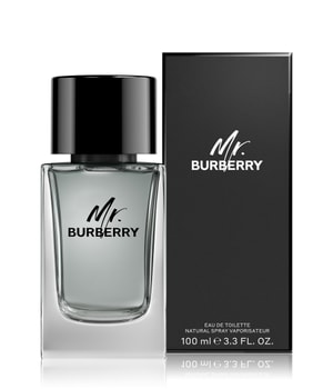 Burberry Mr. Burberry Eau de Toilette 100 ml