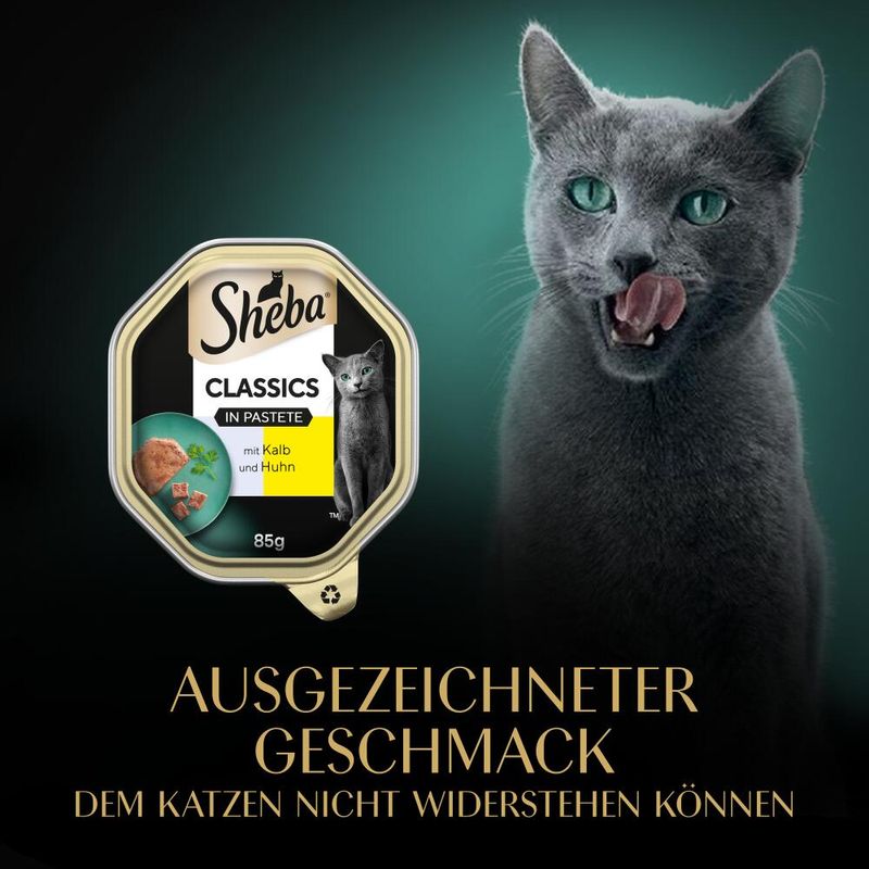 Sparpaket Sheba Schale 44 x 85 g zu TOP-Preisen