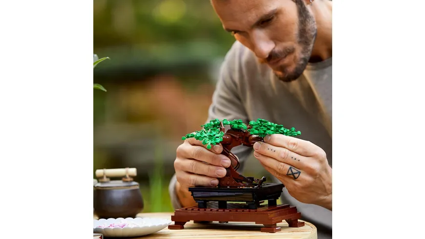 LEGO Icons 10281 Bonsai Baum, Kunstpflanzen-Set für Erwachsene, Deko