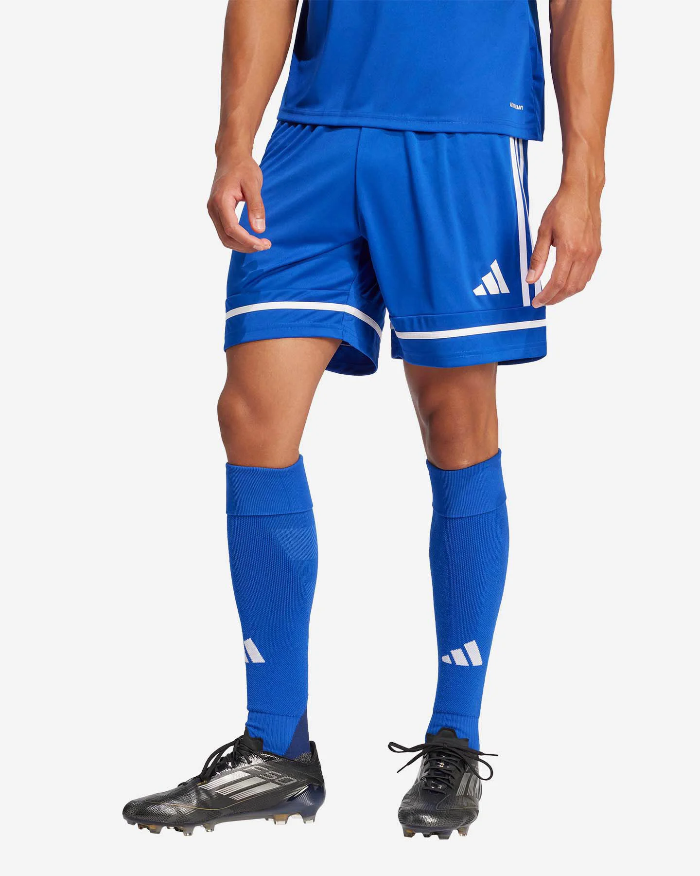 Futbalové šortky Adidas Squadra 25 M JN5465