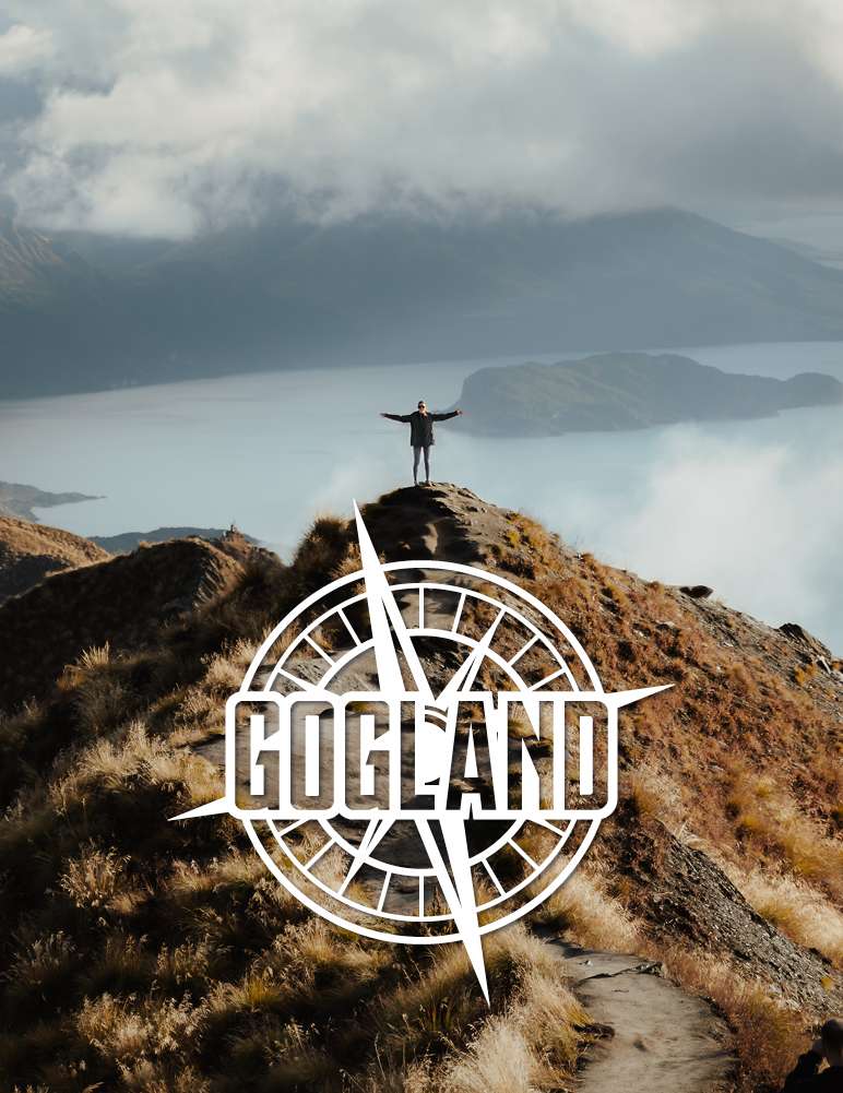 GOGLAND Trekking Walking Stöcke blau