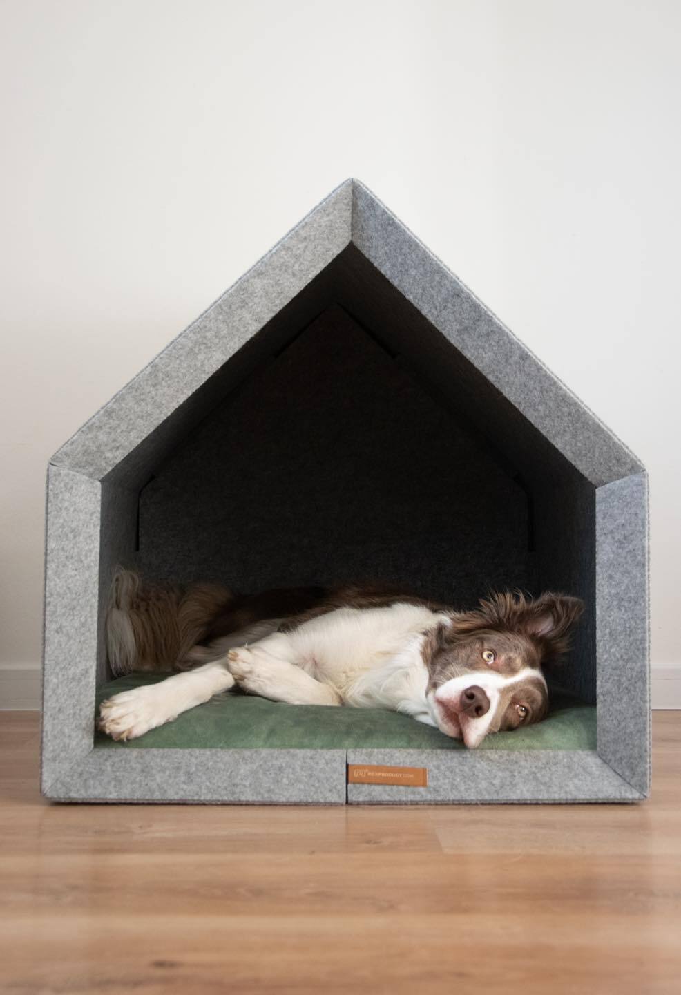 Rexproduct Hundehöhlen Rexproduct PetHome Hellgrau grün L