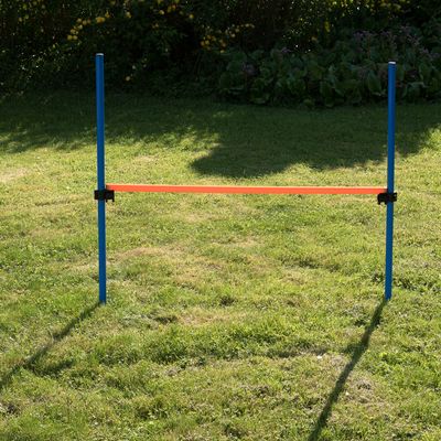 Agility Fun & Sport Komplett-Set