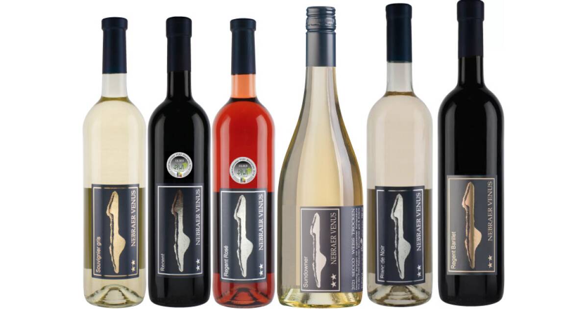 NEBRAER VENUS - PROBIERPAKET PRESTIGE von Weinhof Winter günstig bei wein.de kaufen