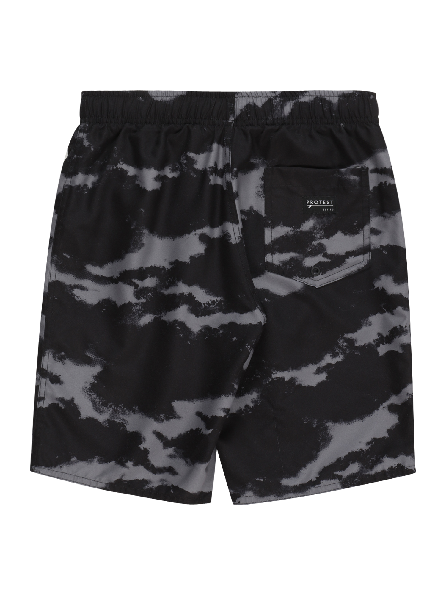 Board Shorts 'ARTIST'