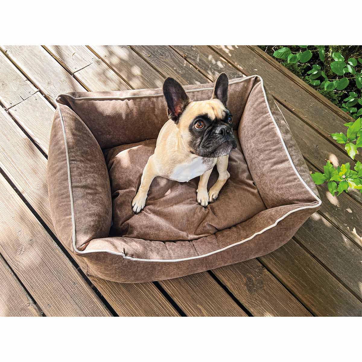 Aumüller Hundebett Sofa Ortho Line Braun kaufen bei ZooRoyal