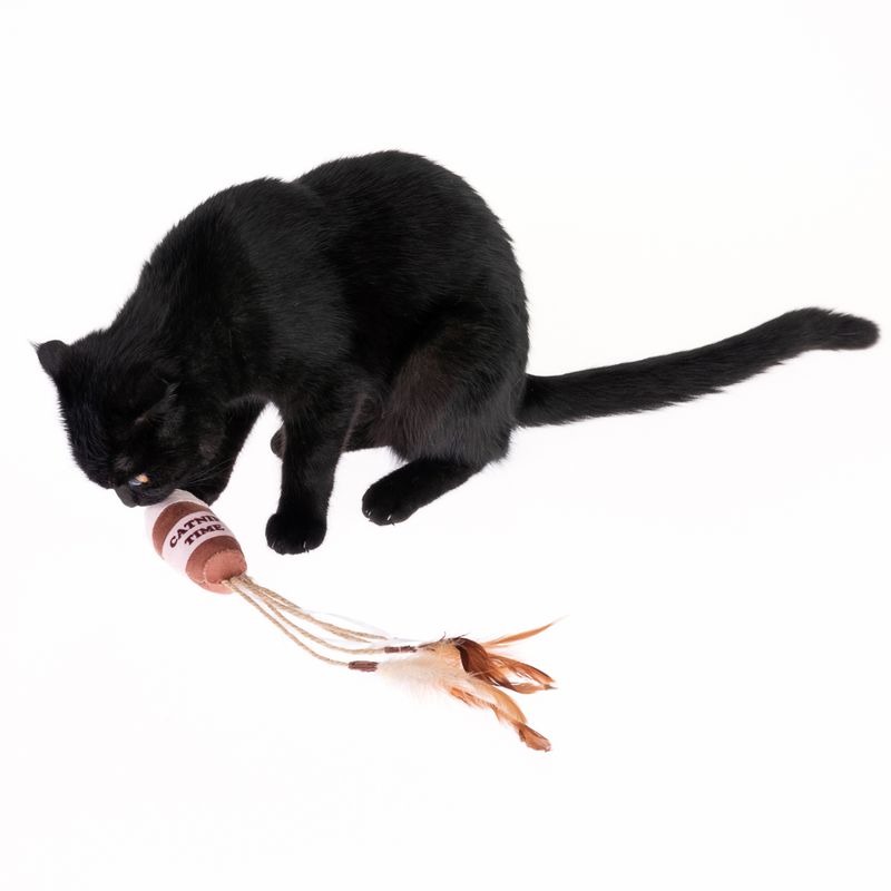 Katzenspielzeug Kaffeebecher mit Katzenminze