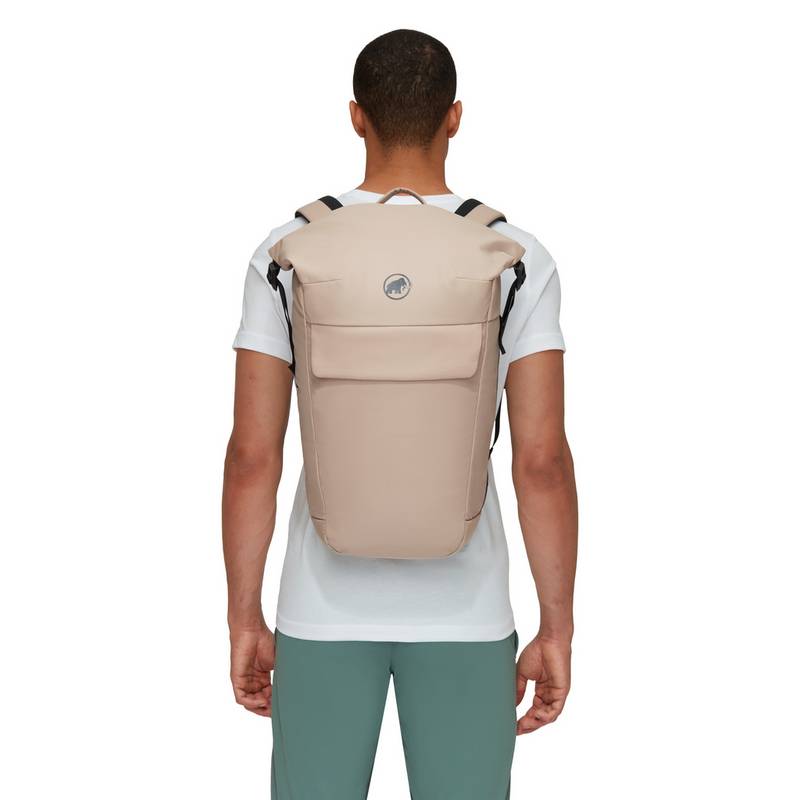 Mammut Seon Courier 20 Wanderrucksack