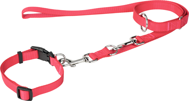 FIT+FUN Hundehalsbänder FIT+FUN Halsband + Leine pink L