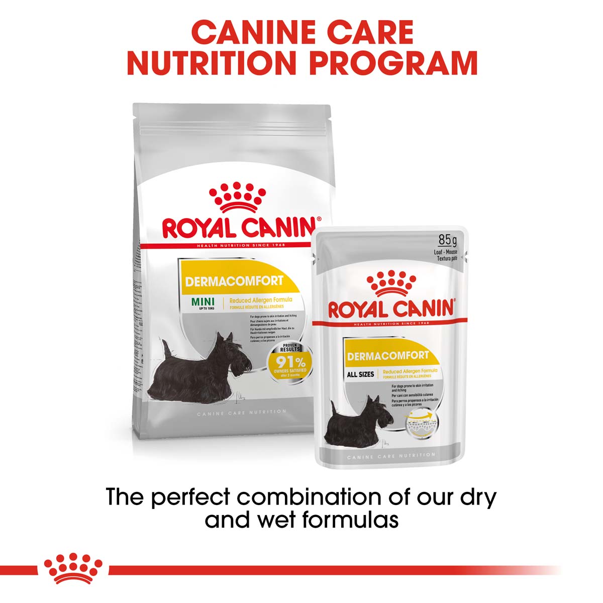 ROYAL CANIN DERMACOMFORT MINI Trockenfutter für kleine Hunde mit empfindlicher Haut