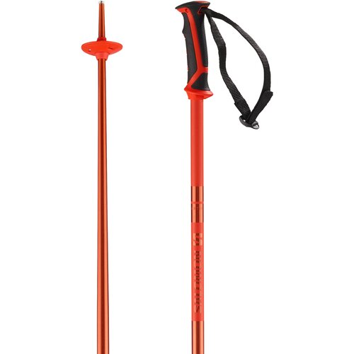 HERREN ALPIN-SKISTOCK ARCTIC