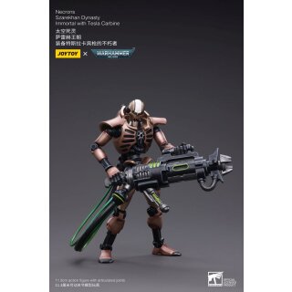 Warhammer 40k Actionfigur: Necrons - Szarekhan Dynasty Immortals with Tesla Carbine (2er-Pack)