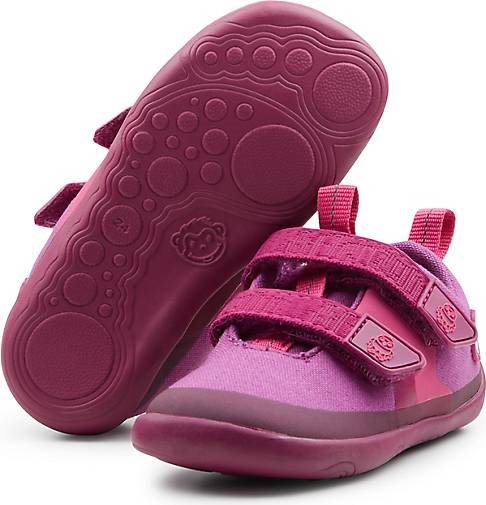 Affenzahn Klettschuh BUDDY KOALA