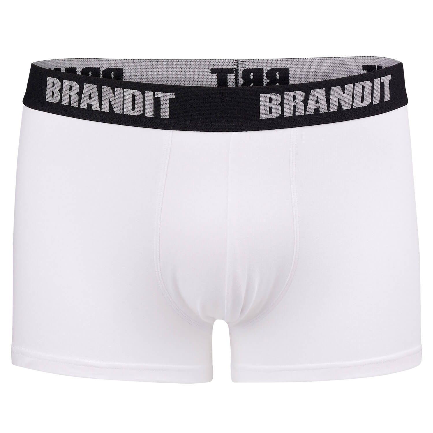 Boxershorts Logo 2er Pack
