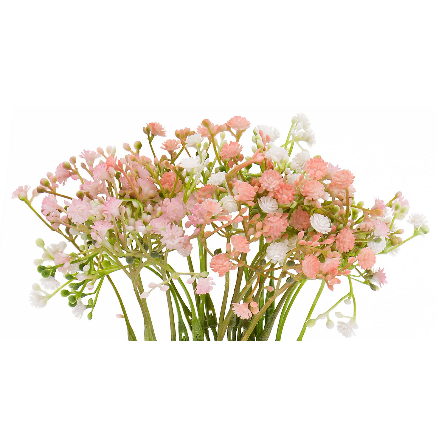 Schleierkraut, weiß, rosa, violett, 30 cm